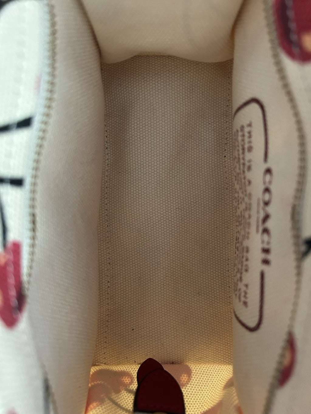COACH Mini Cargo Tote Bag 20 Cherry Print