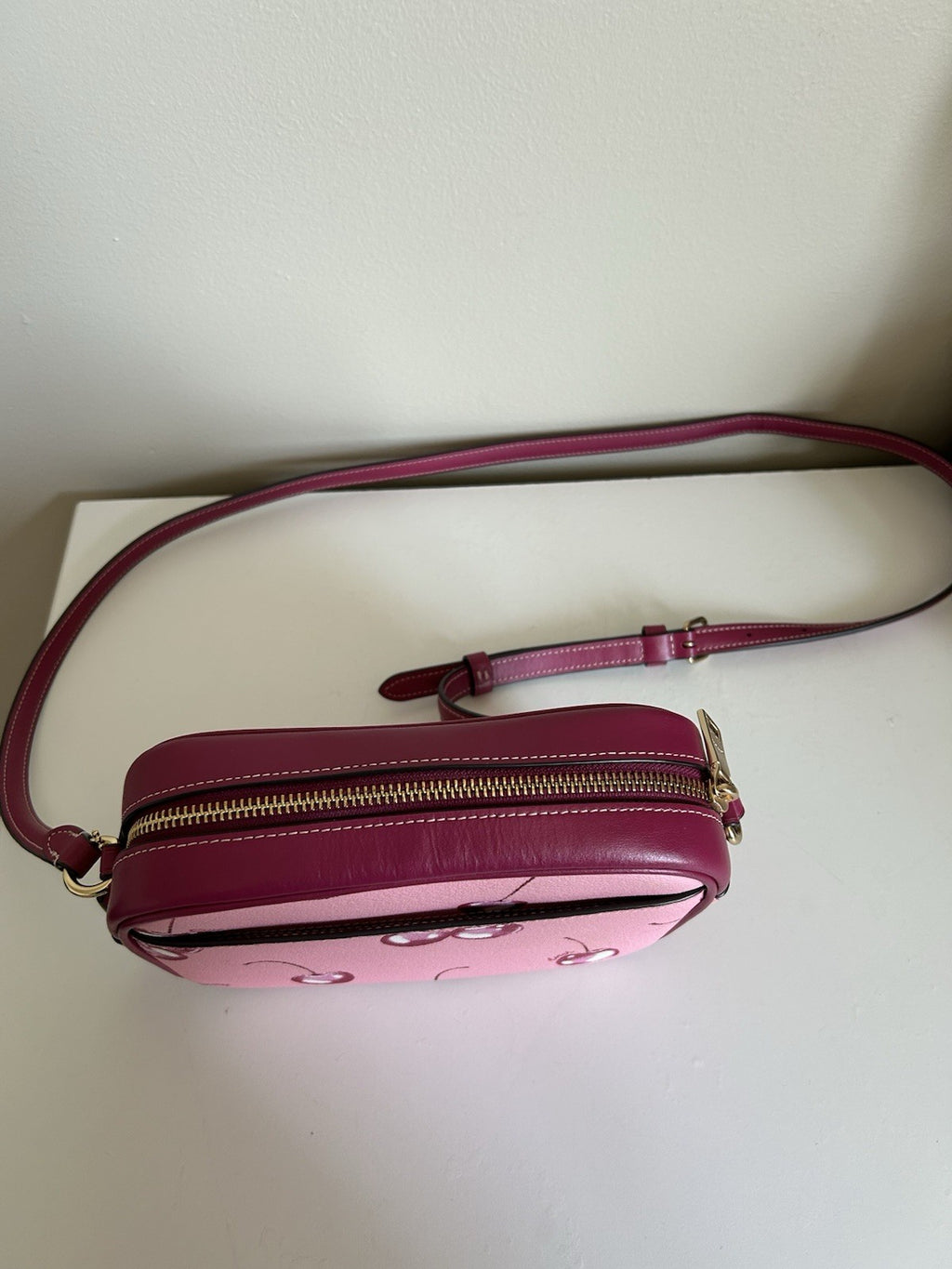COACH Mini Jamie Camera Bag With Cherry Print