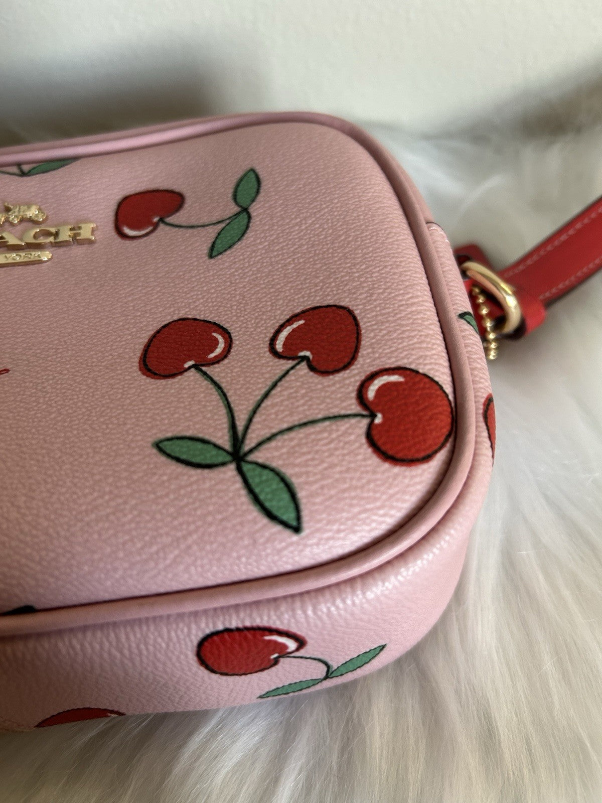 Coach Mini Jamie Camera Bag with Heart Cherry Print