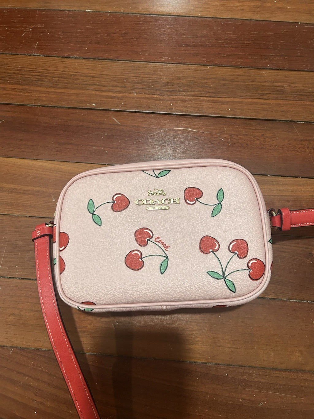 Coach Mini Jamie Camera Bag with Heart Cherry Print