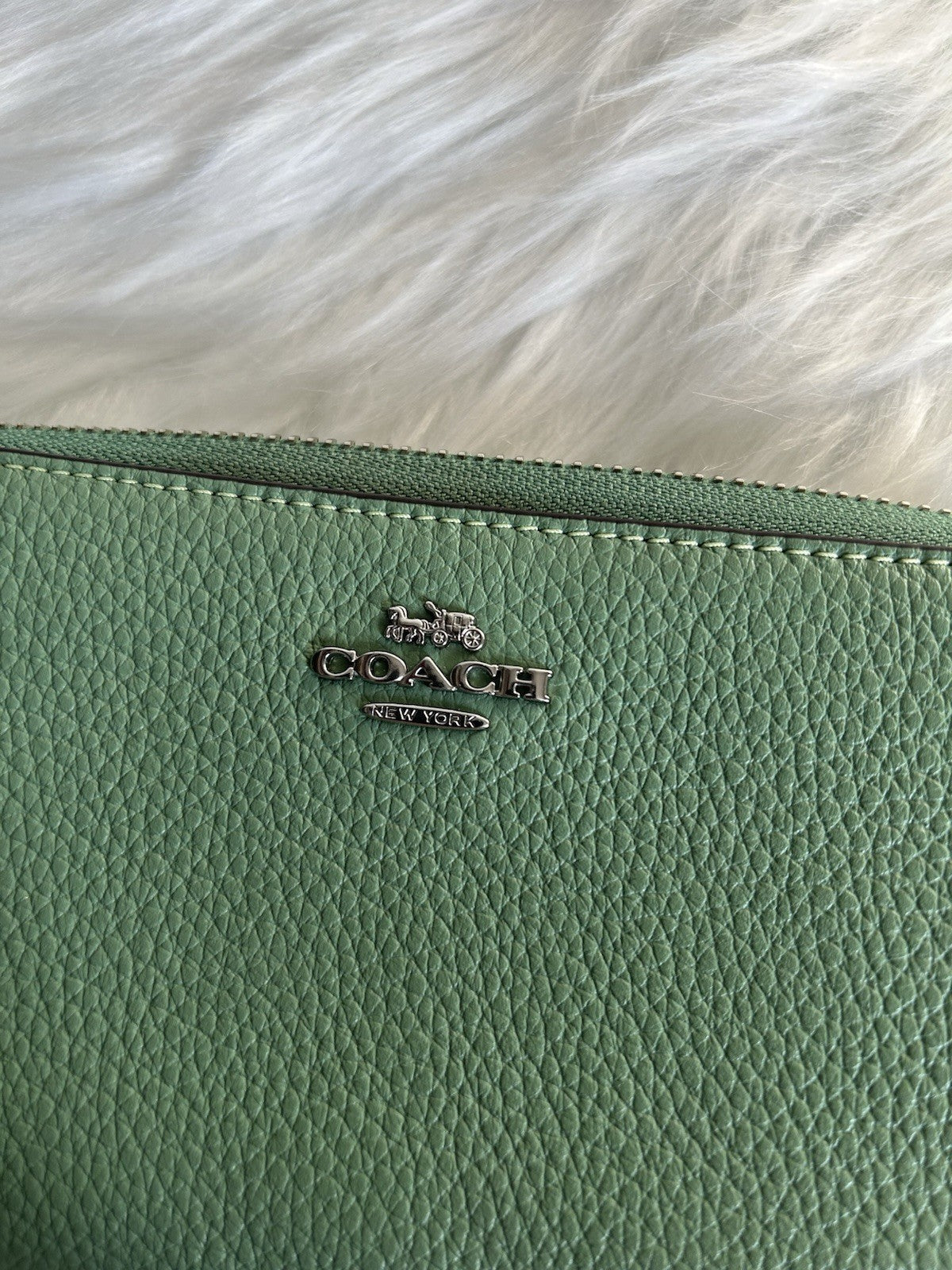 Coach Accordion Zip Wallet Pebble Leather in Soft Green