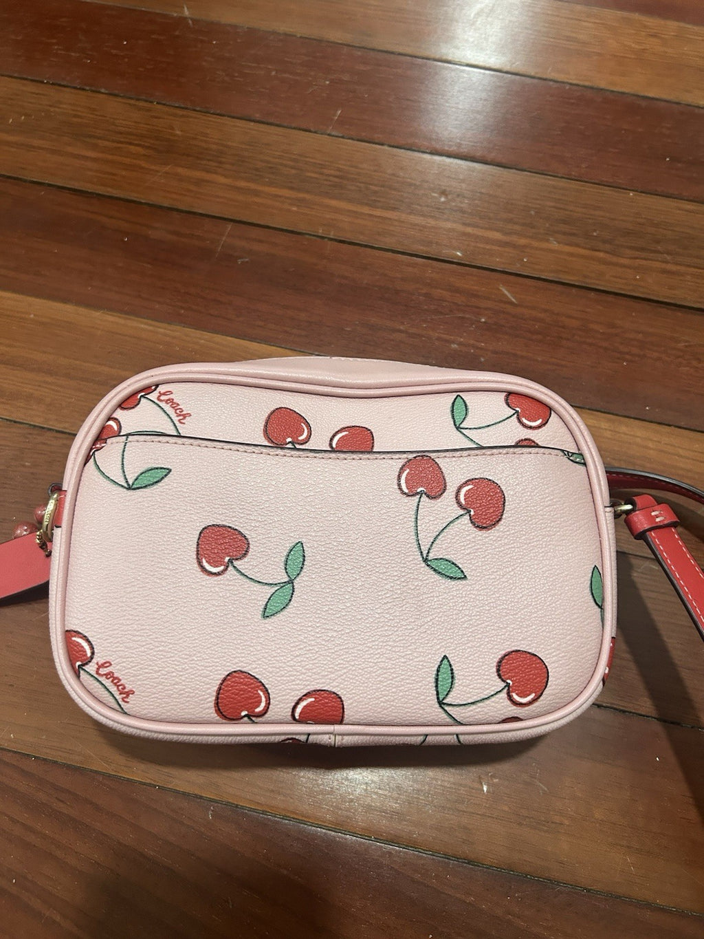 Coach Mini Jamie Camera Bag with Heart Cherry Print