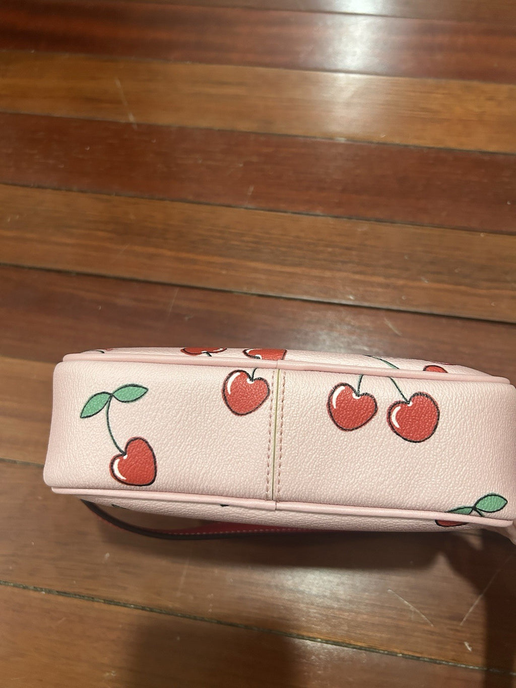 Coach Mini Jamie Camera Bag with Heart Cherry Print