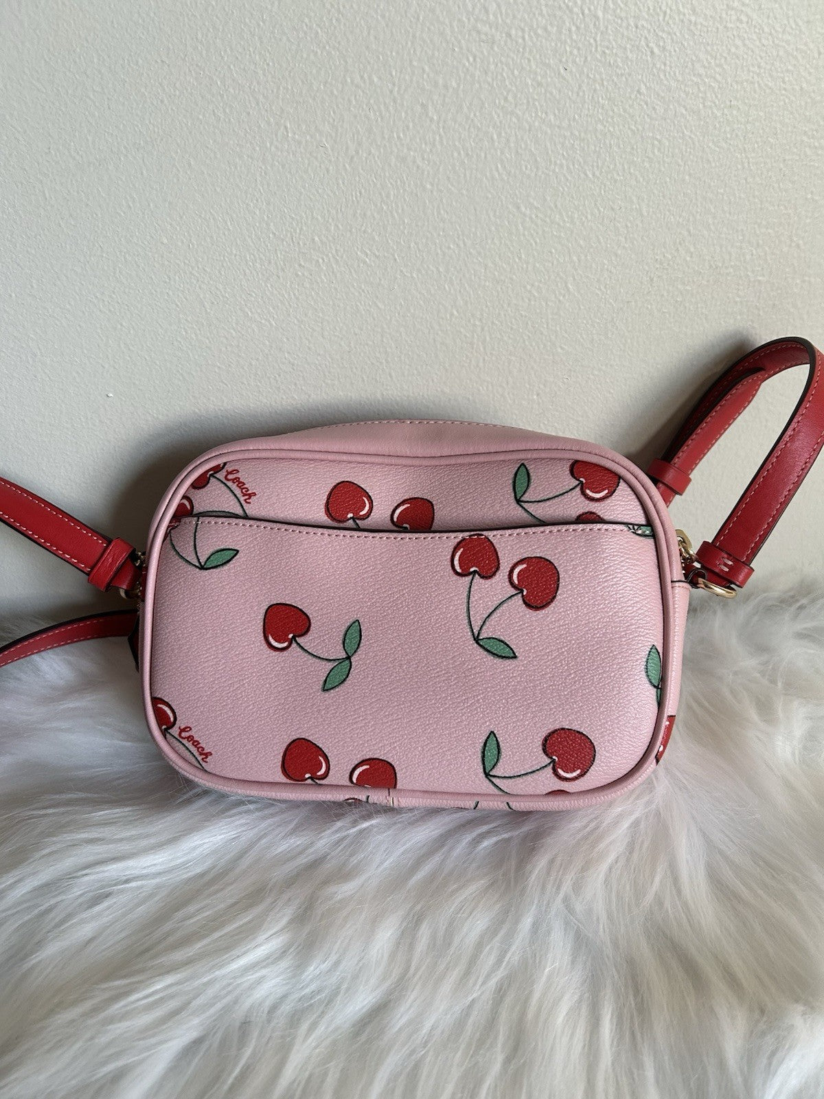 Coach Mini Jamie Camera Bag with Heart Cherry Print
