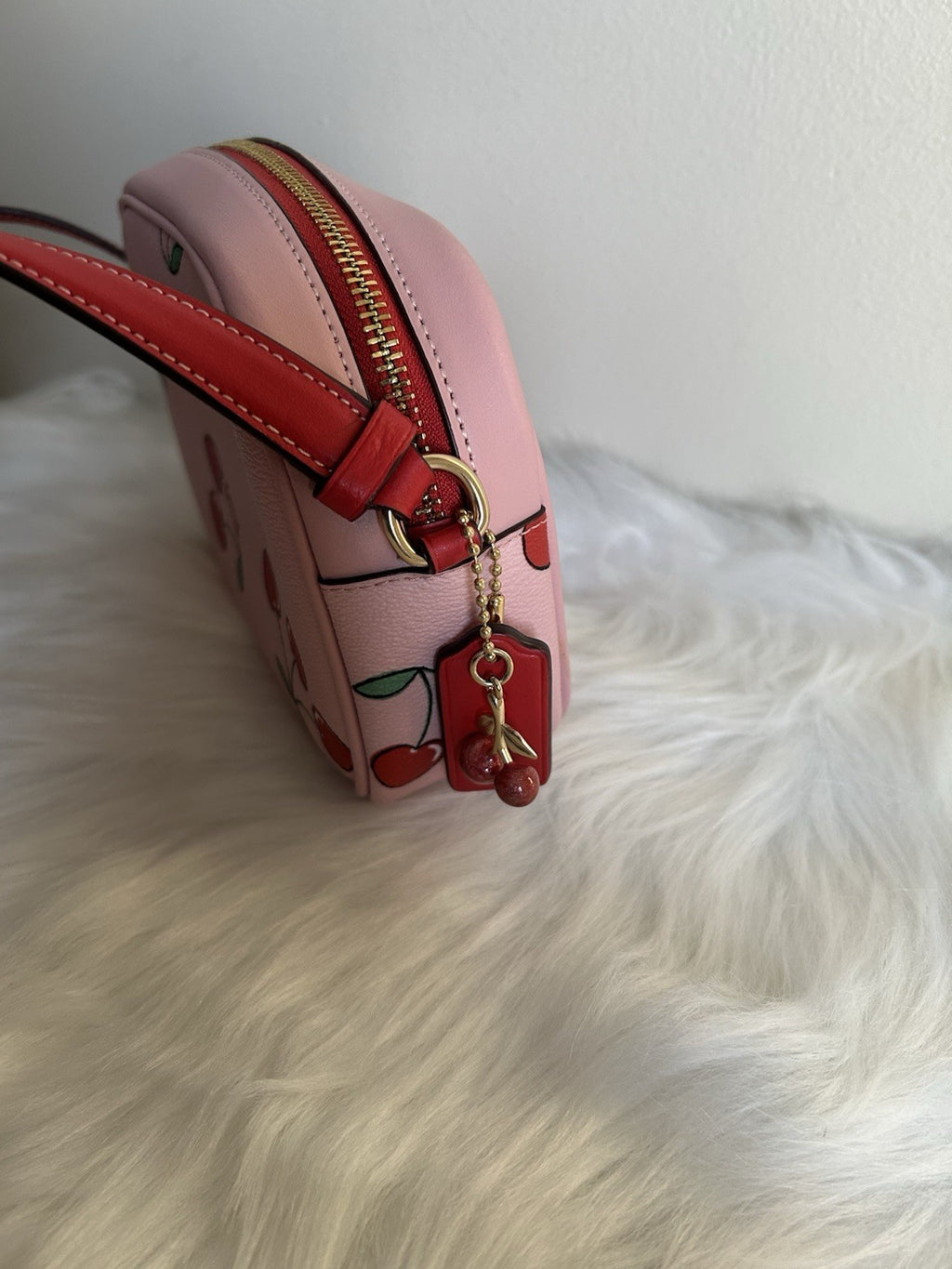 Coach Mini Jamie Camera Bag with Heart Cherry Print