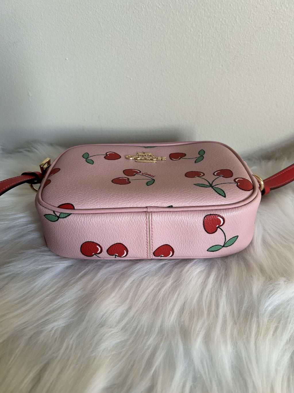 Coach Mini Jamie Camera Bag with Heart Cherry Print