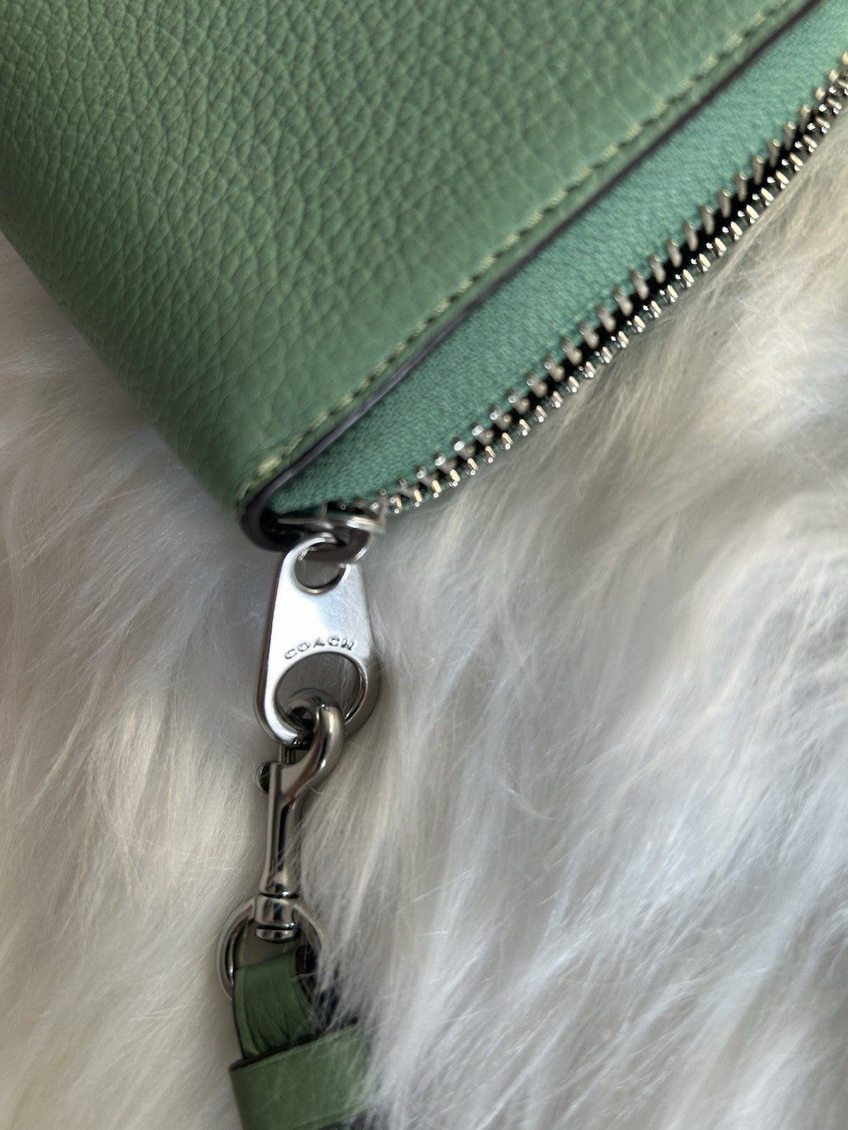 Coach Accordion Zip Wallet Pebble Leather in Soft Green