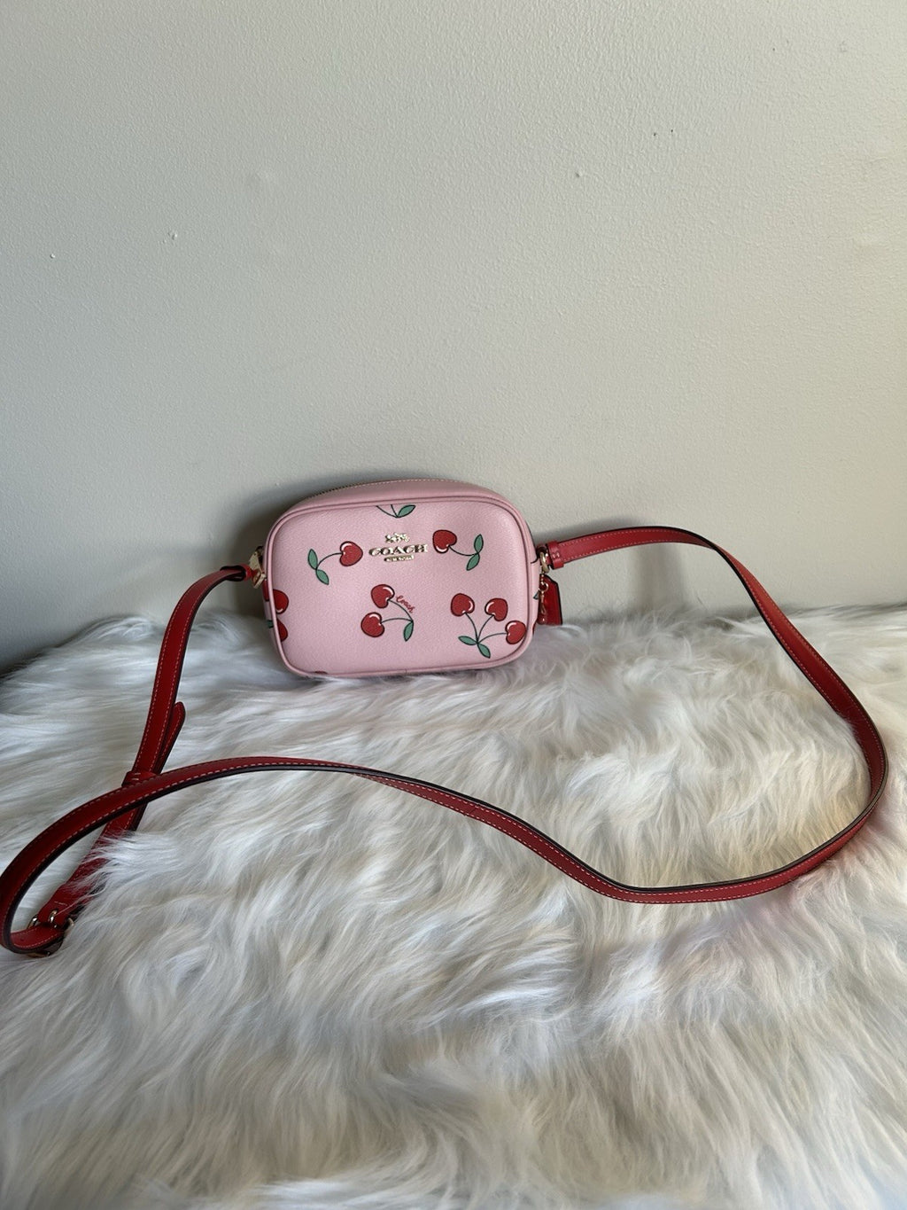 Coach Mini Jamie Camera Bag with Heart Cherry Print