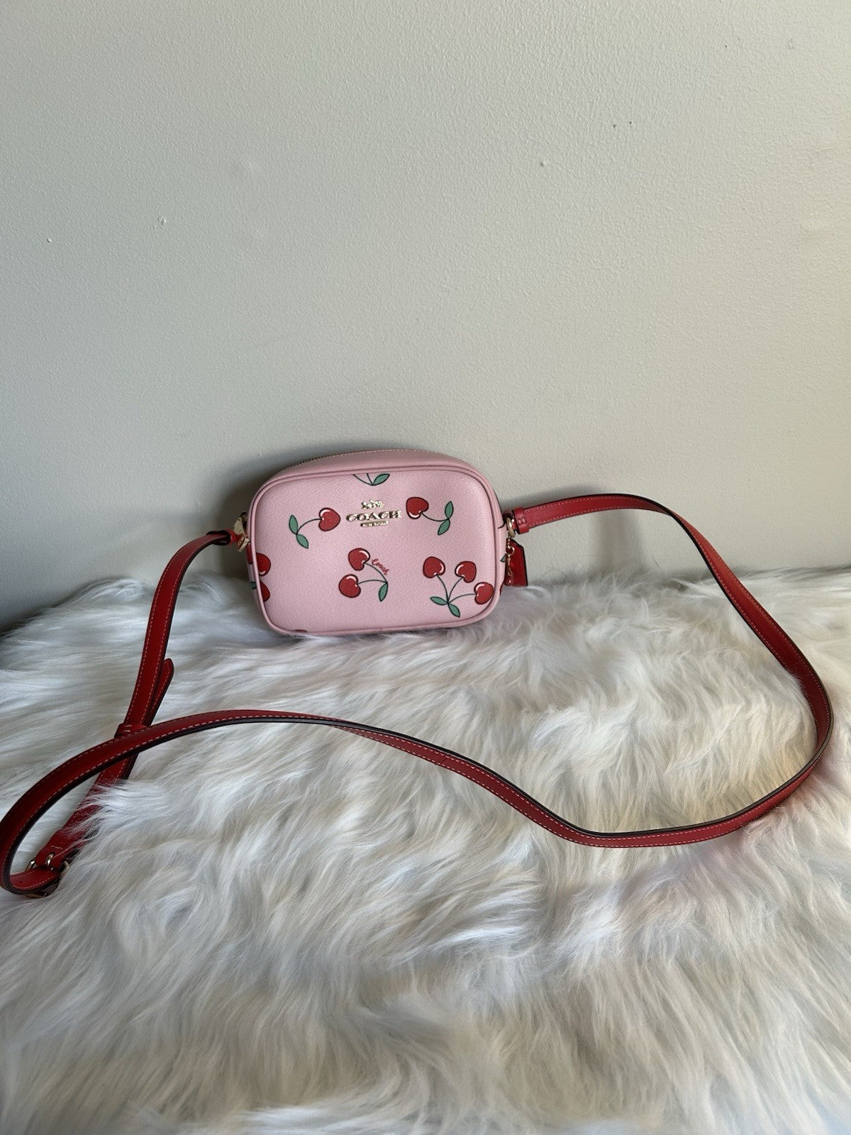 Coach Mini Jamie Camera Bag with Heart Cherry Print