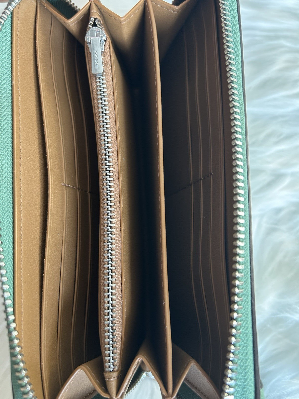 Coach Accordion Zip Wallet Pebble Leather in Soft Green