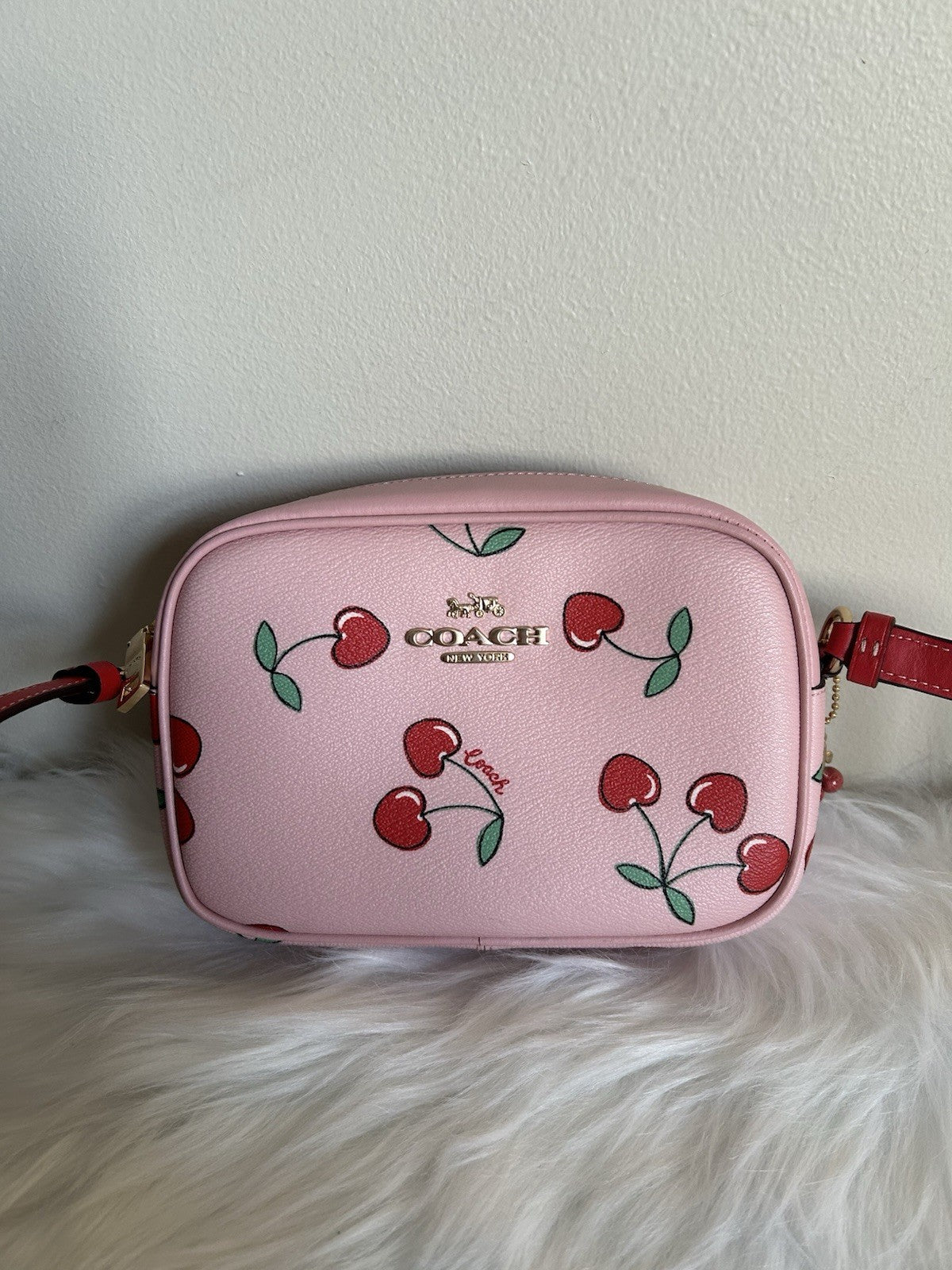 Coach Mini Jamie Camera Bag with Heart Cherry Print
