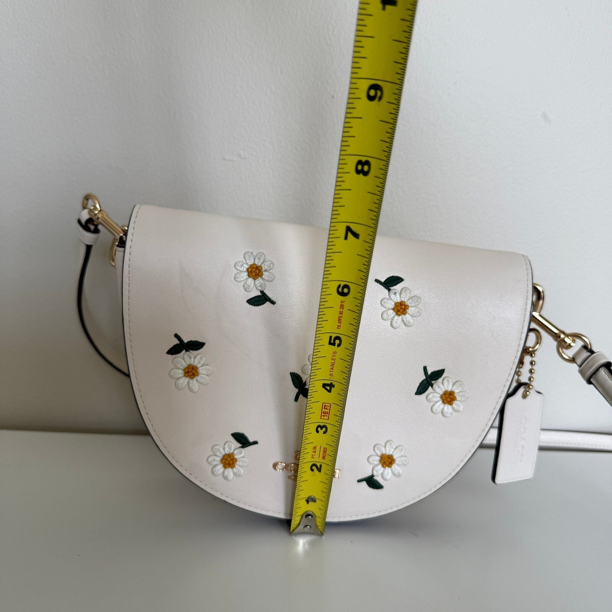 Coach Ellen Chalk Multi Leather Daisy Embroidery Crossbody Bag C2863