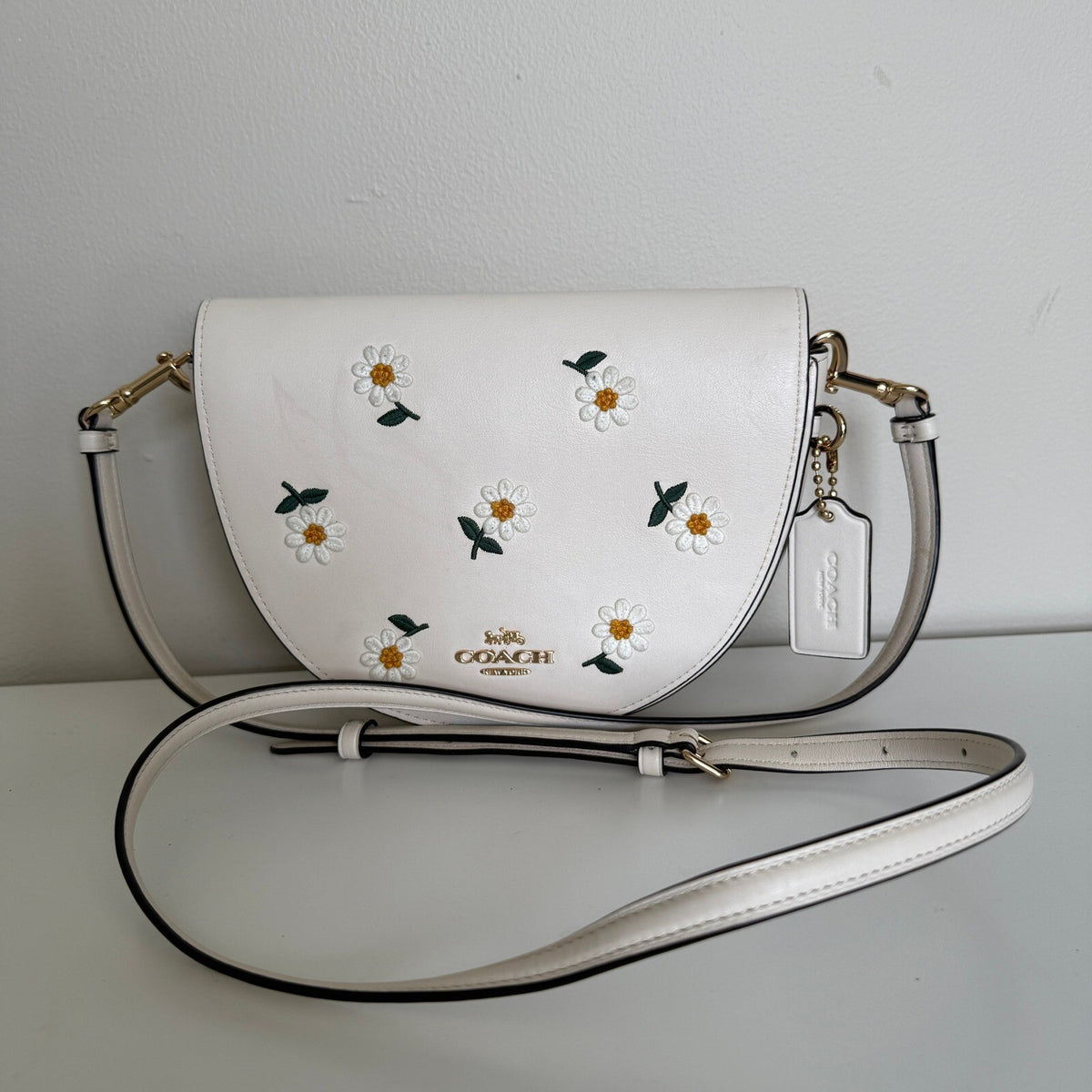 Coach Ellen Chalk Multi Leather Daisy Embroidery Crossbody Bag C2863