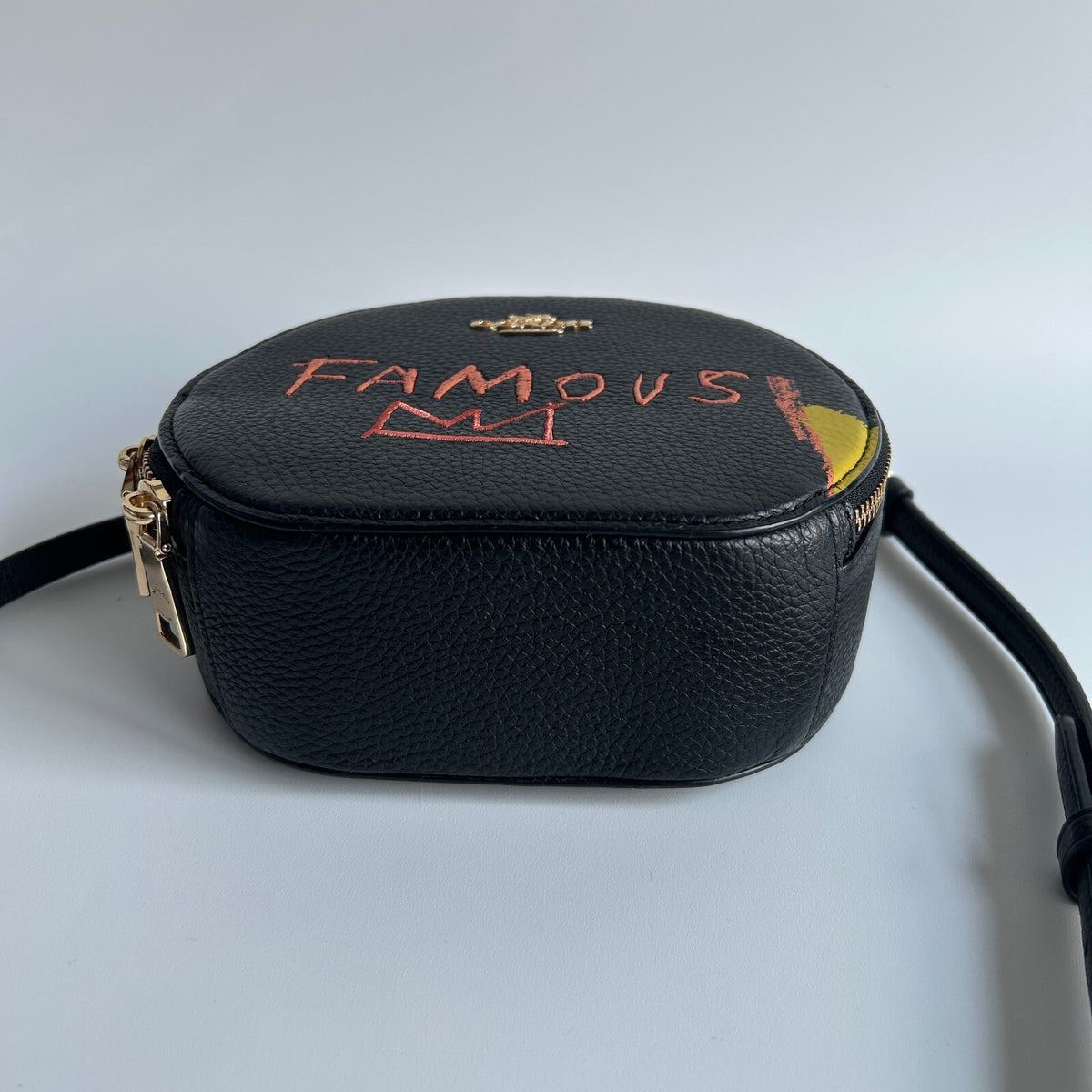 Coach X Jean-Michel Basquiat Canteen Crossbody Handbag3
