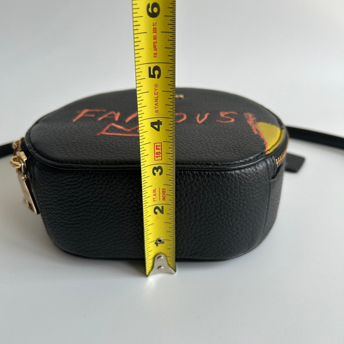 Coach X Jean-Michel Basquiat Canteen Crossbody Handbag10