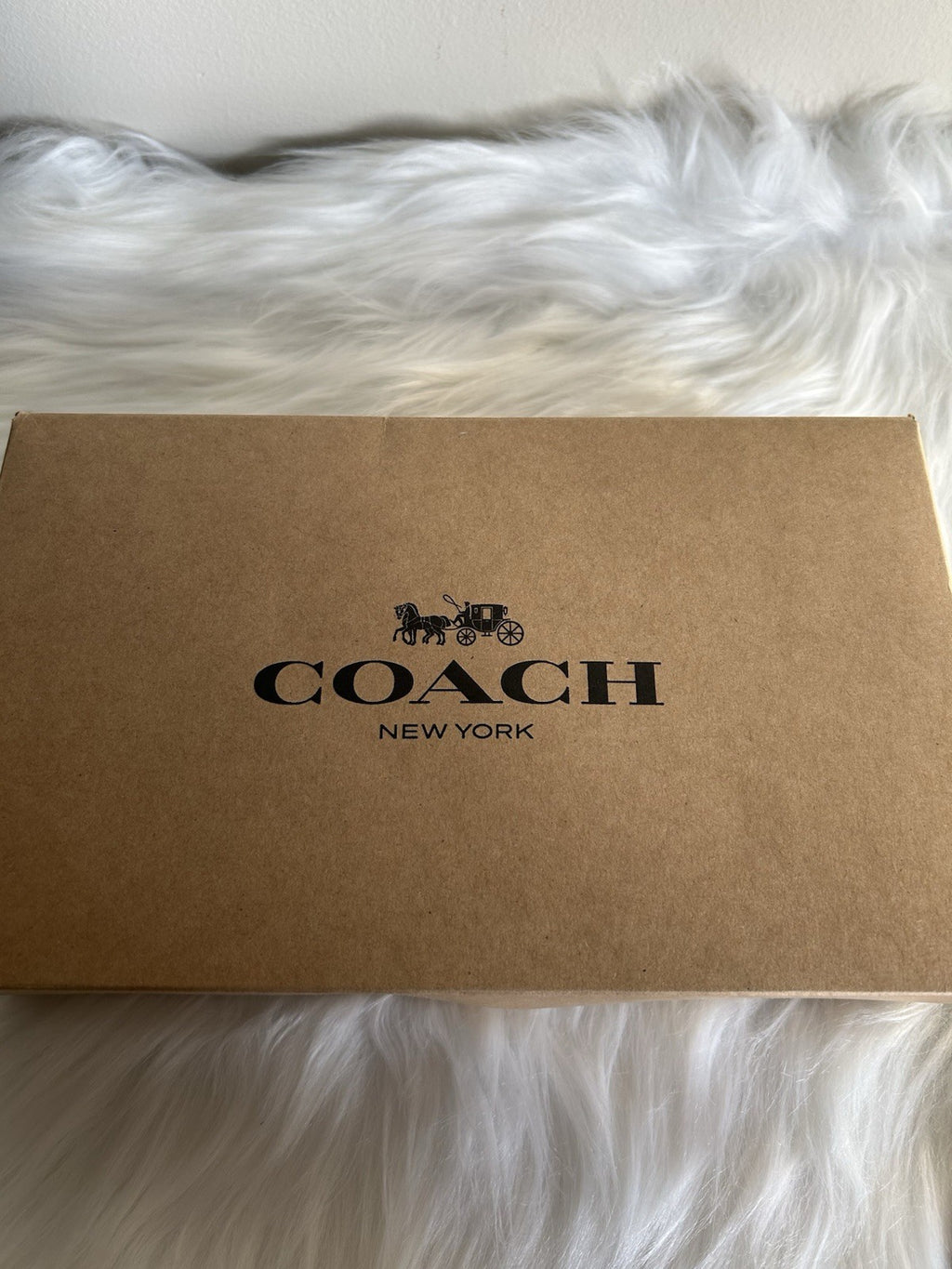 Coach Accordion Zip Wallet Light Khaki Chalk Canvas Leather Wristlet Excellent5