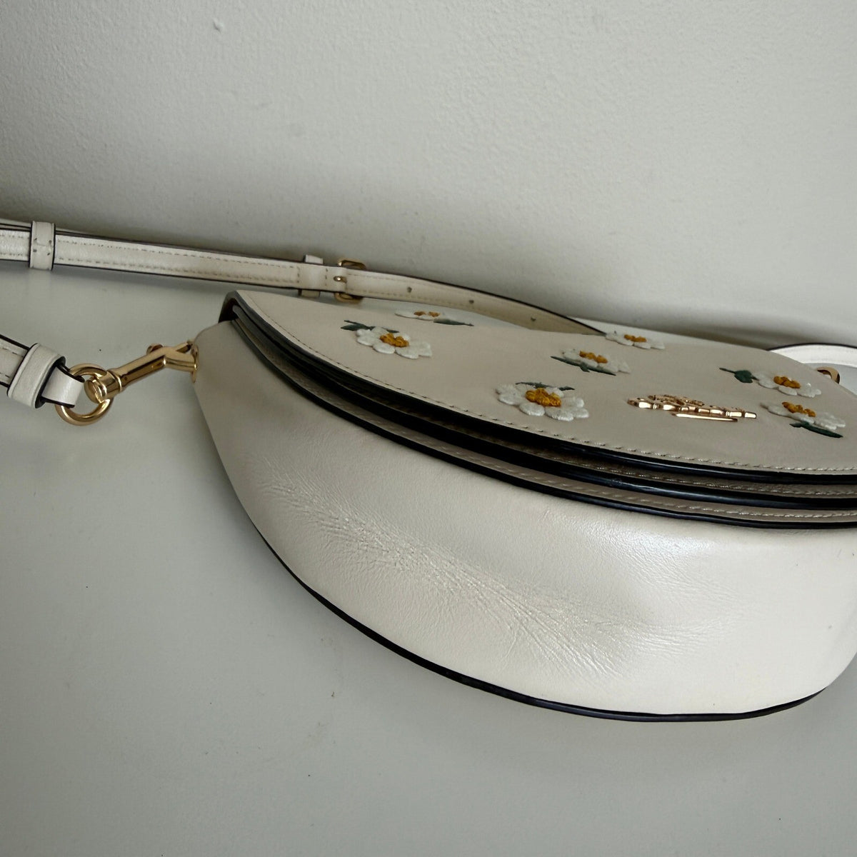 Coach Ellen Chalk Multi Leather Daisy Embroidery Crossbody Bag C2863