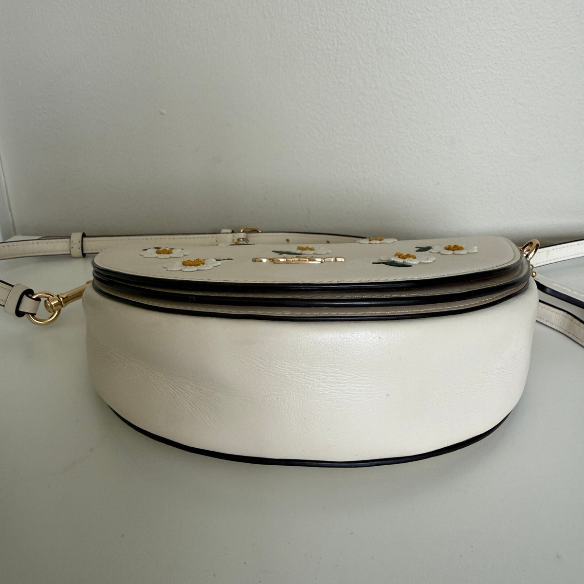 Coach Ellen Chalk Multi Leather Daisy Embroidery Crossbody Bag C2863