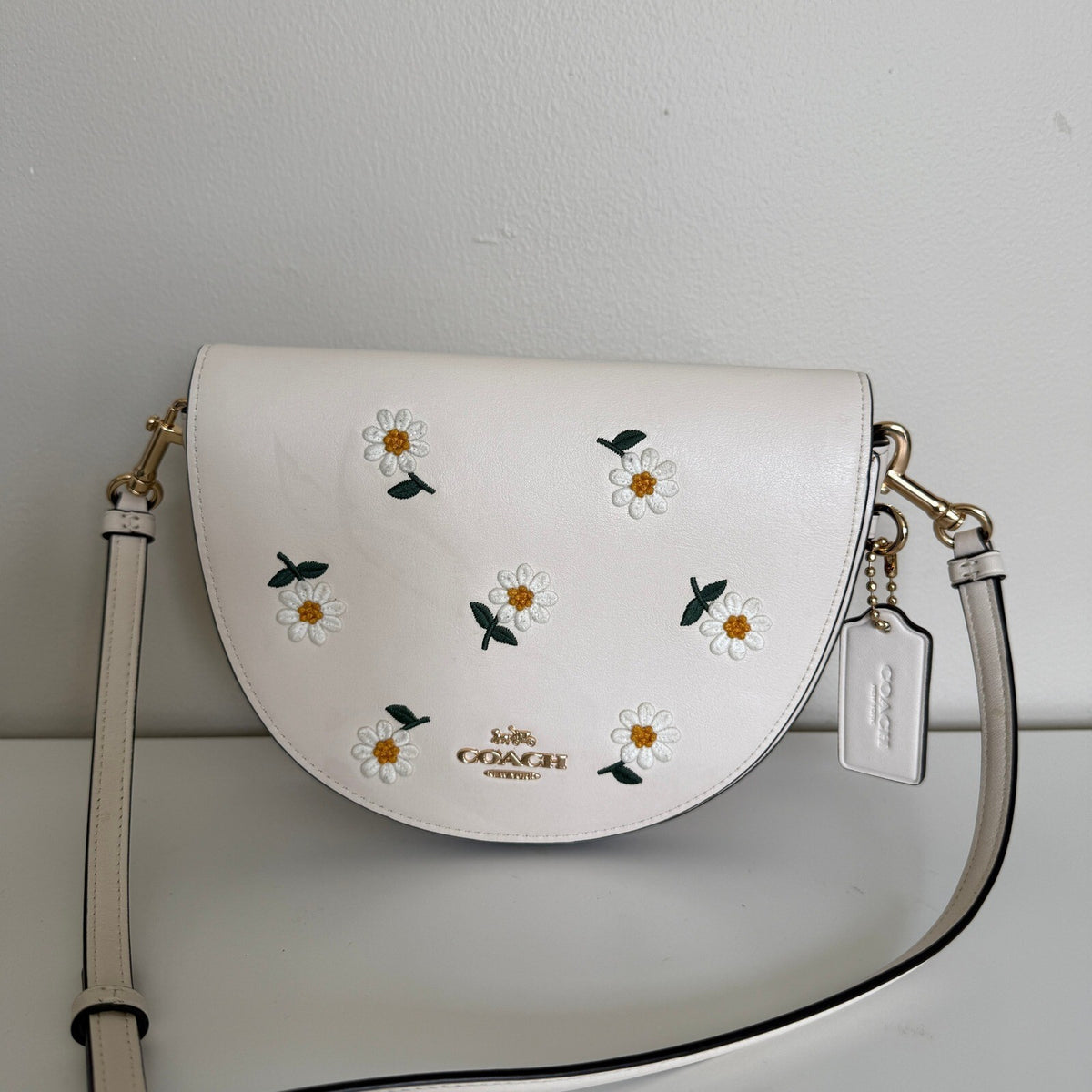 Coach Ellen Chalk Multi Leather Daisy Embroidery Crossbody Bag C2863