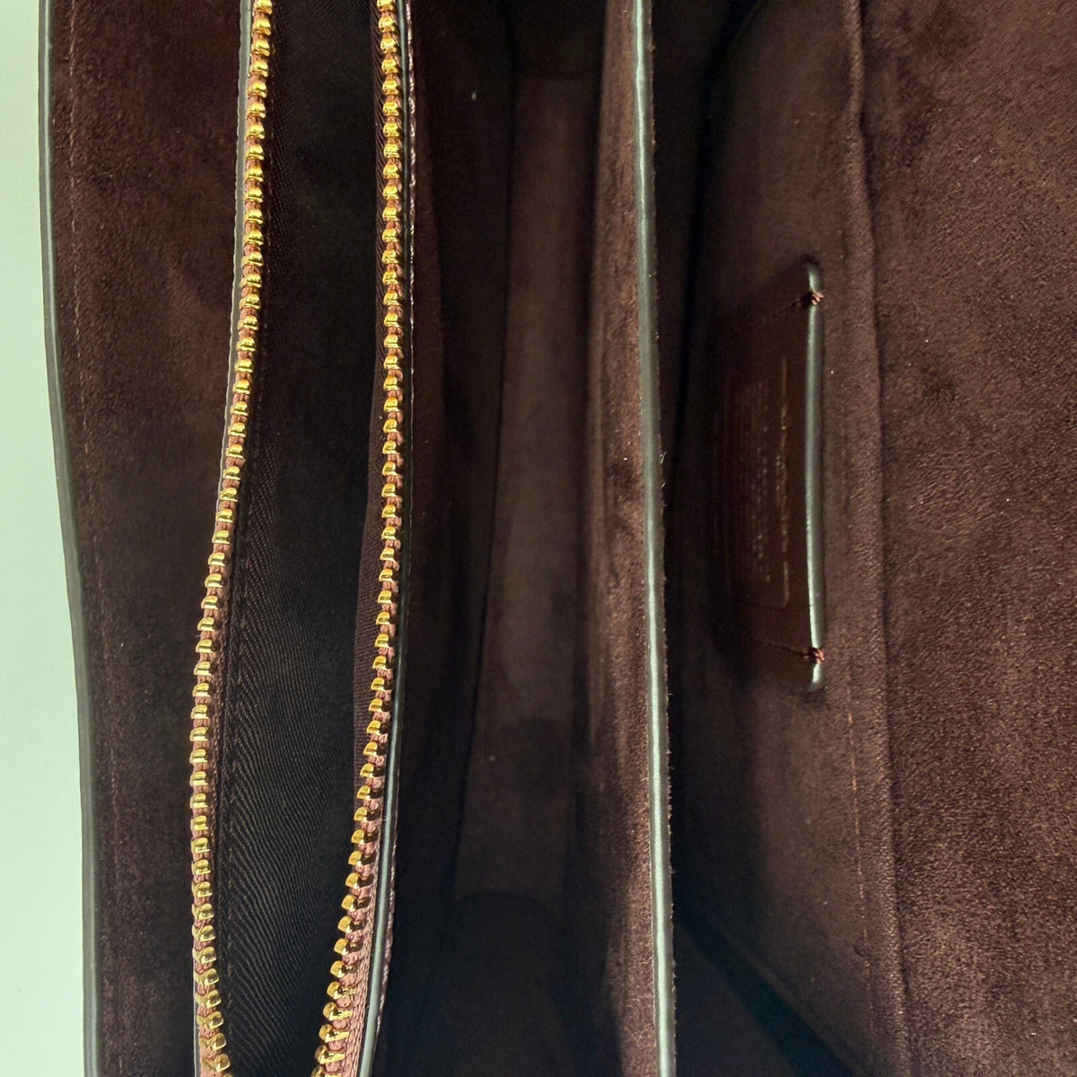 Coach Klare Crossbody Mauve Pink Butterfly Applique Leather 1425 Shoulder Bag