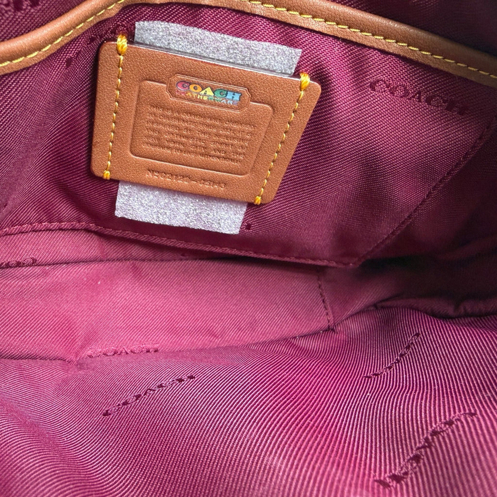 Coach Pride Willow Camera Bag Rainbow Tan Multi Canvas Crossbody C5143