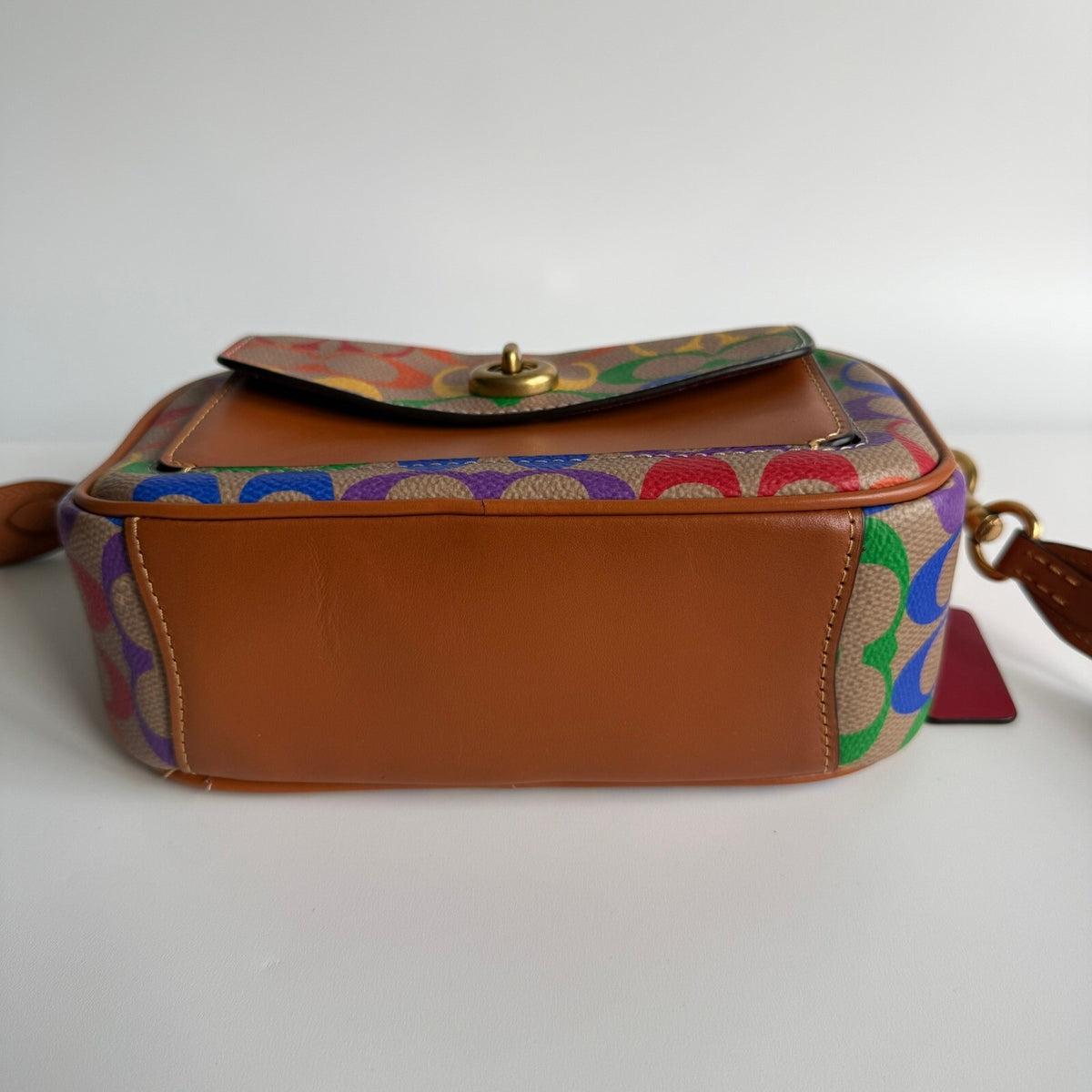 Coach Pride Willow Camera Bag Rainbow Tan Multi Canvas Crossbody C5143