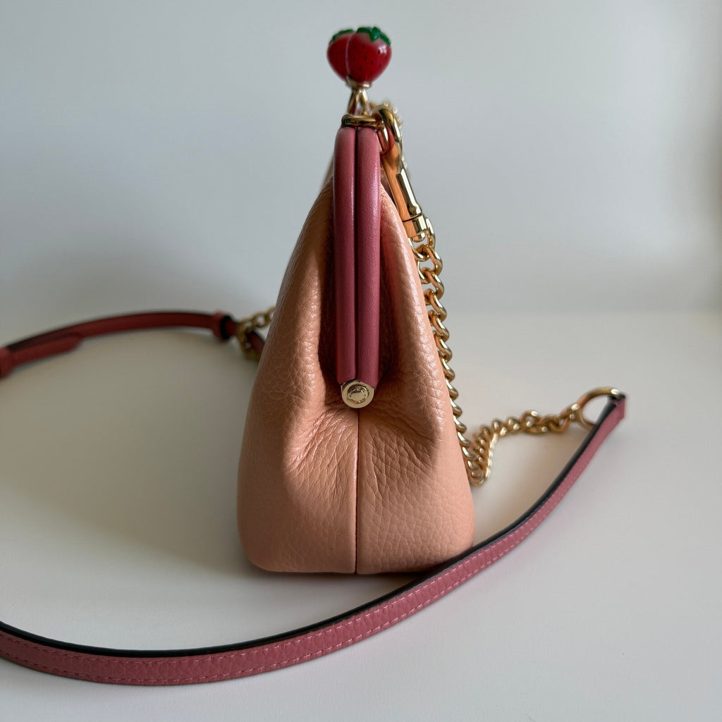Coach Nora Kisslock Faded Blush Pink Leather Crossbody Bag C8288 Strawberry