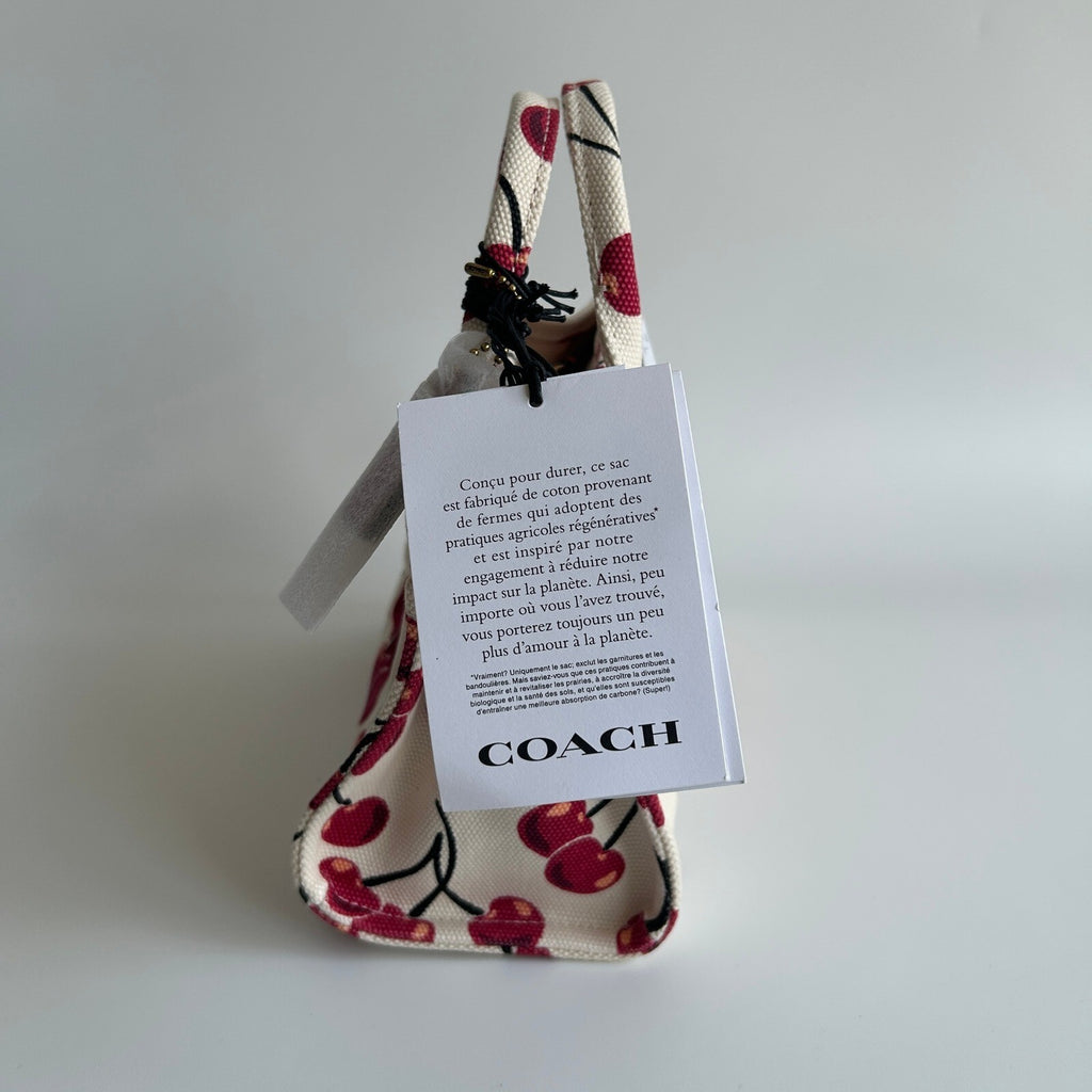 Coach Cargo Tote 20 Chalk Multi Canvas Bag CCH32