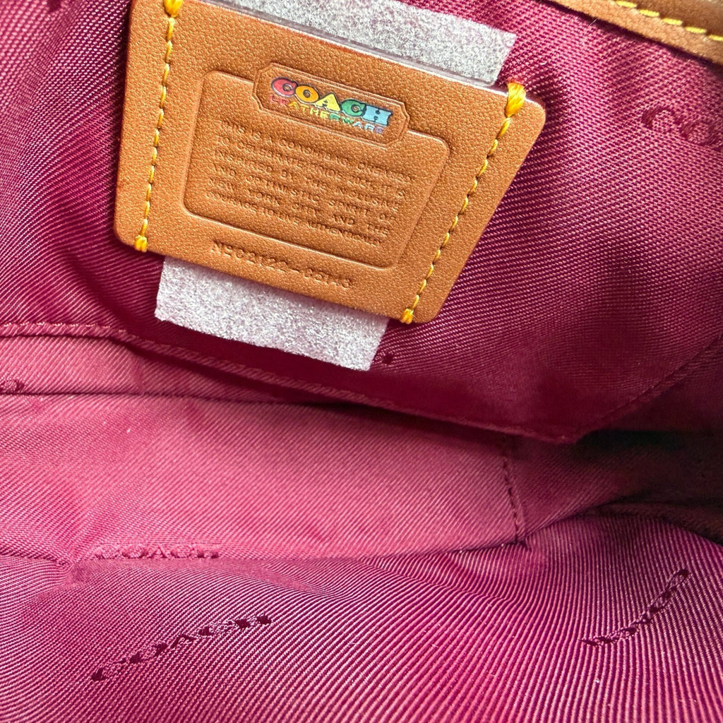 Coach Pride Willow Camera Bag Rainbow Tan Multi Canvas Crossbody C5143