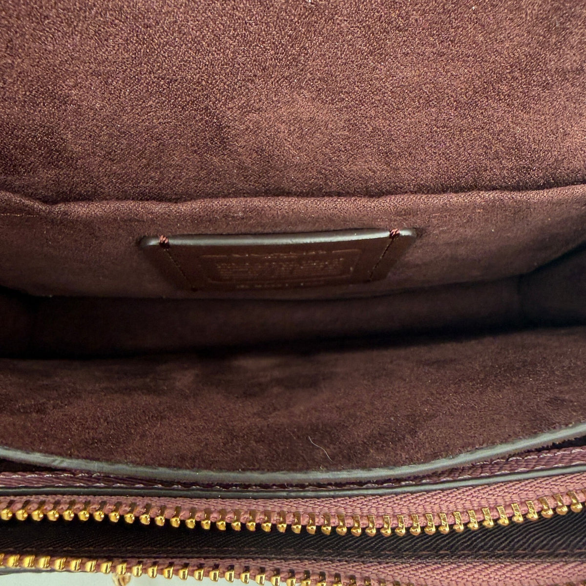 Coach Klare Crossbody Mauve Pink Butterfly Applique Leather 1425 Shoulder Bag