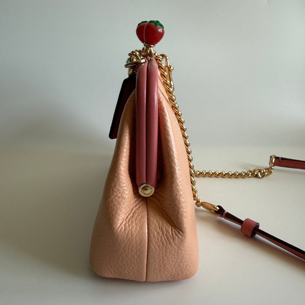 Coach Nora Kisslock Faded Blush Pink Leather Crossbody Bag C8288 Strawberry
